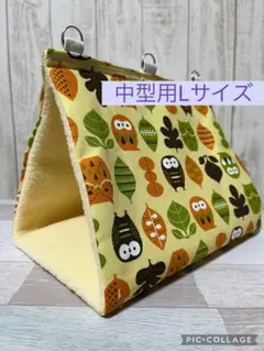 Item thumbnail for item 6e75493a-48a7-406e-8f98-bf8b7a75f1f3