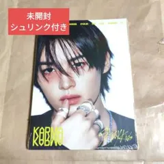 straykidsスキズ karma accordion 未開封 リノ CD