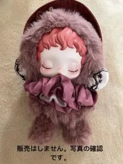 販売はしません。写真の確認です。