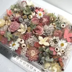 2026年最新】秋色紫陽花の人気アイテム - メルカリ