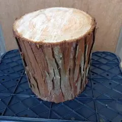 Item thumbnail for item 53ef3bc7-78e9-4432-9094-42467cfc8cfd