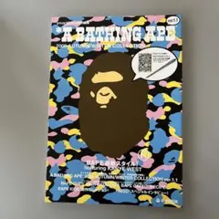 2006年秋冬エイプムック本