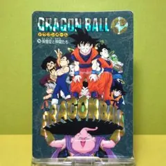 No.256 ドラゴンボール カードダス ビジュアルアドベンチャー ’95EX