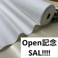 Item thumbnail for item 4bc9f2fc-5955-4ed6-a40d-dd5c3444da4c