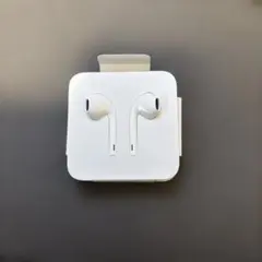 Apple イヤホン有線　ライトニング