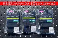 Item thumbnail for item 51b2d984-1ab4-4828-a332-3020313860dd