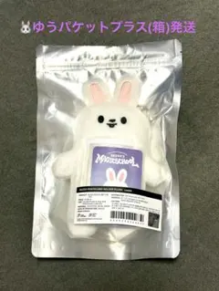 スキズ skzoo Leebit フォトカードホルダー リノ Leeknow