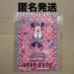 ミニーのファンダーランド　パルパルーザ　リゾートライン　フリーきっぷ　１枚　③