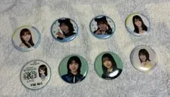 日向坂46 缶バッジ 8個セット
