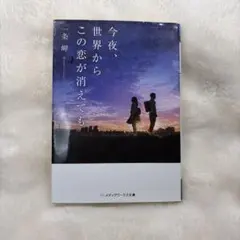 今夜、世界からこの恋が消えても 一条岬