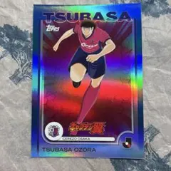 Item thumbnail for item 06c449a8-77c7-46a5-95df-a851936ba0d3