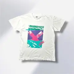 90s NIKE シングルステッチ Tシャツ L 銀タグ　レトロ配色　プリントt