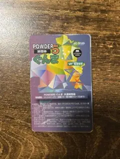 POWDER5 ぐんま 10時間券（未使用）1枚 パウダー5 パウダー5ぐんま」シーズン券・時間券 | 群馬みなかみほうだいぎスキー場