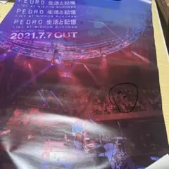 PEDRO サイン入りポスター グッズ アユニ・D 2枚セット ペドロ - メルカリ