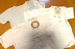 cottoli コトリ 動物 アニマル 半袖 Tシャツ 3枚セット 95サイズ