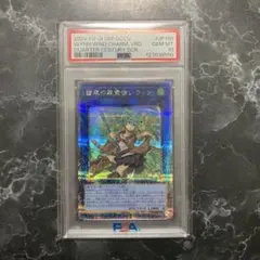 2026年最新】蒼翠の風霊使いウィン シークレットの人気アイテム - メルカリ