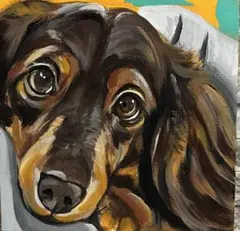 ダックスフンド アクリル画 原画 絵 犬