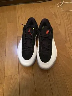 Nike ザイオン4