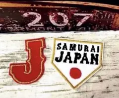 【新品❣️】WBC侍ジャパン　アイロンシート　接着　ワッペン　2枚セット