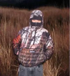 supreme micro down halfzip hoodie