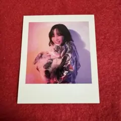 即購入可能！鷲尾伶菜　freivor フォトカード　6