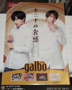 Sexy Zone 中島健人 菊池風磨 A4 クリアファイル ガルボ ローソン