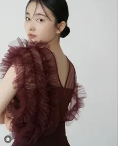 LADYチュールドッキングコンビネゾン