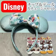 東京ディズニーリゾート　スイスイサマー　カチューシャ