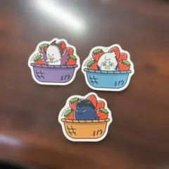 スシロー×ハイキュー　コラボステッカー3枚