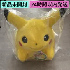 ポケットモンスター ポケモン30周年記念 おかえり！ピカチュウ1/1