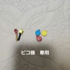 ピコ様　専用