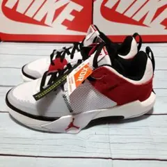 Item thumbnail for item 7f384497-c3d5-4ab1-9d98-ebe0f223e923