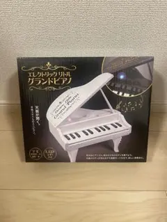 エレクトリック リトル グランドピアノのサムネイル