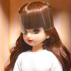 2026年最新】リカちゃんキャッスル バレンタイン リカちゃんの人気