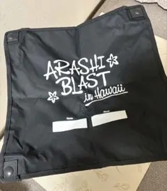 ARASHI BLAST in Hawaii 折りたたみ 椅子 - メルカリ