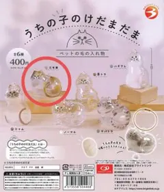 うちの子のけだまだま　三毛猫　ミケ