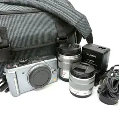 LUMIX DMC-GF1 ミラーレス一眼カメラ 望遠レンズ 中望遠レンズ