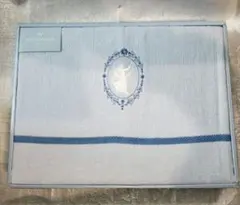 Item thumbnail for item 7cc86d77-9747-4e00-9fe4-a6416cdc9250