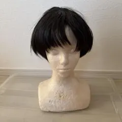 ウィッグ　コスプレ　髪　黒髪　パッツン