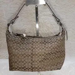 COACH コーチ アクセサリーポーチ シグネチャ ハンドバッグ ワン
