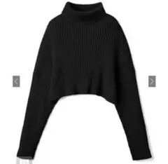 GRL グレイル タートルネッククロップド丈ニットトップス mb1395