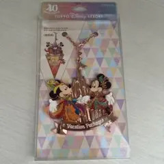 東京ディズニーリゾート キーホルダー　バッグチャーム　40周年