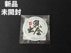 【非売品 限定特典】アズールレーン アズレン 乳出会 ちちでかい 缶バッジ #2