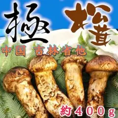 1 国産信州つが松茸 210g 天然 つぼみ 裂けあり - メルカリ