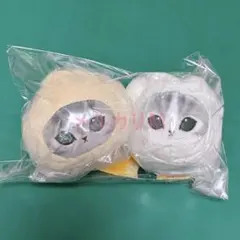 モフサンド 飲茶にゃんおかおぬいぐるみ 2点セット