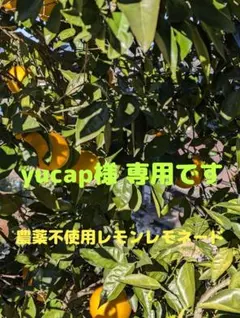 yucap様専用ページです