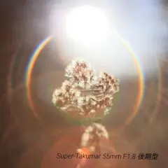 Super-Takumar 55mm F1.8 後期型 S/N：3686963のサムネイル