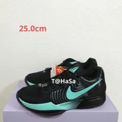 [新品] NIKE JA 2 EP 