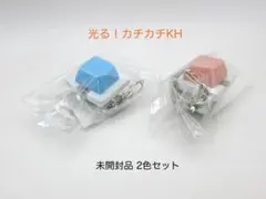 Item thumbnail for item 55618000-c4d5-4db3-8ab7-02a41f838129