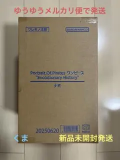 P.O.P ワンピース “Evolutionary History” ナミ